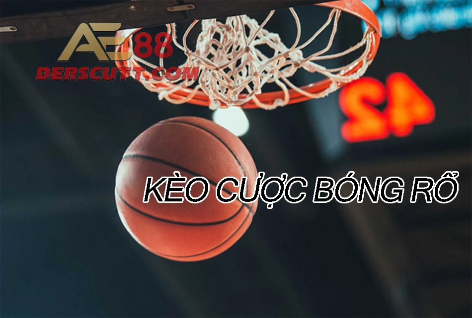 Tổng hợp các loại kèo cược bóng cá cược bóng rổ