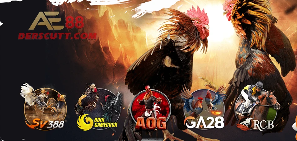 Các sảnh live trên AE88
