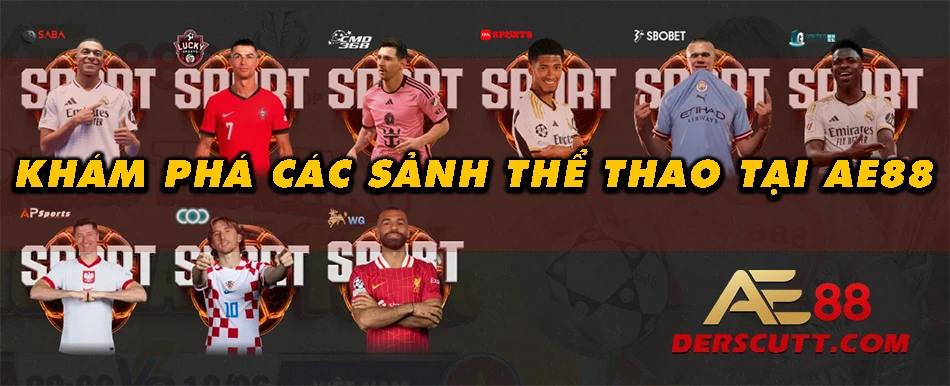 Các sảnh thể thao có tại AE88