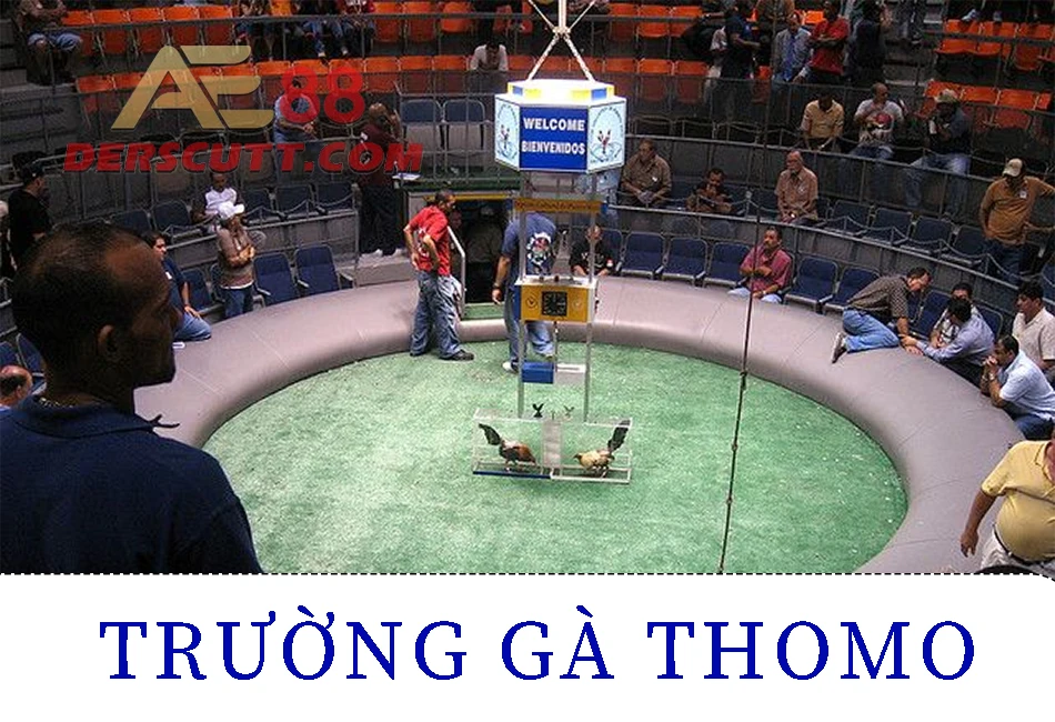 Các trường gà nổi tiếng tại Campuchia