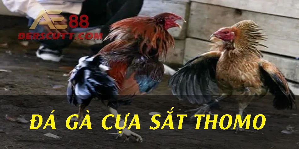 Giới thiệu về đá gà cựa sắt