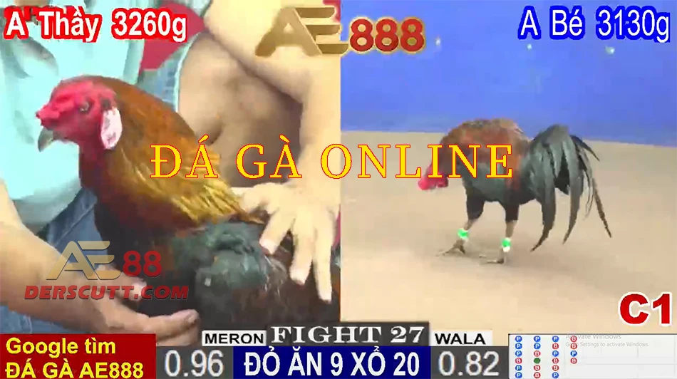 Tìm hiểu về đá gà online