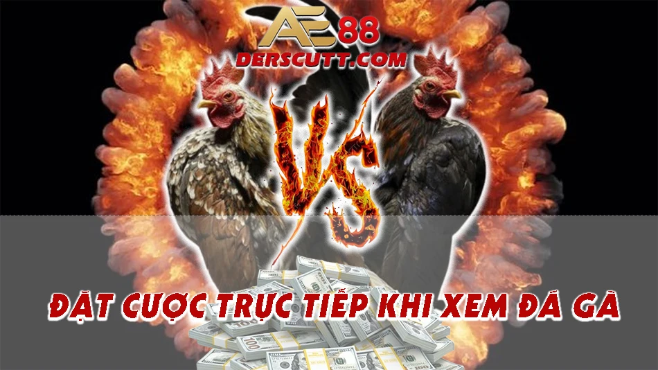 Kết hợp tính năng đặt cược trực tiếp