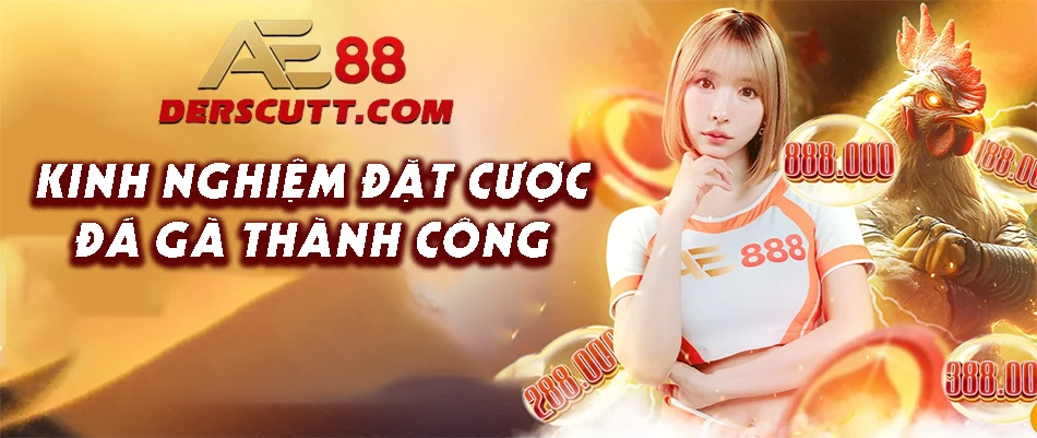 Mách mẹo cược thành công đá gà