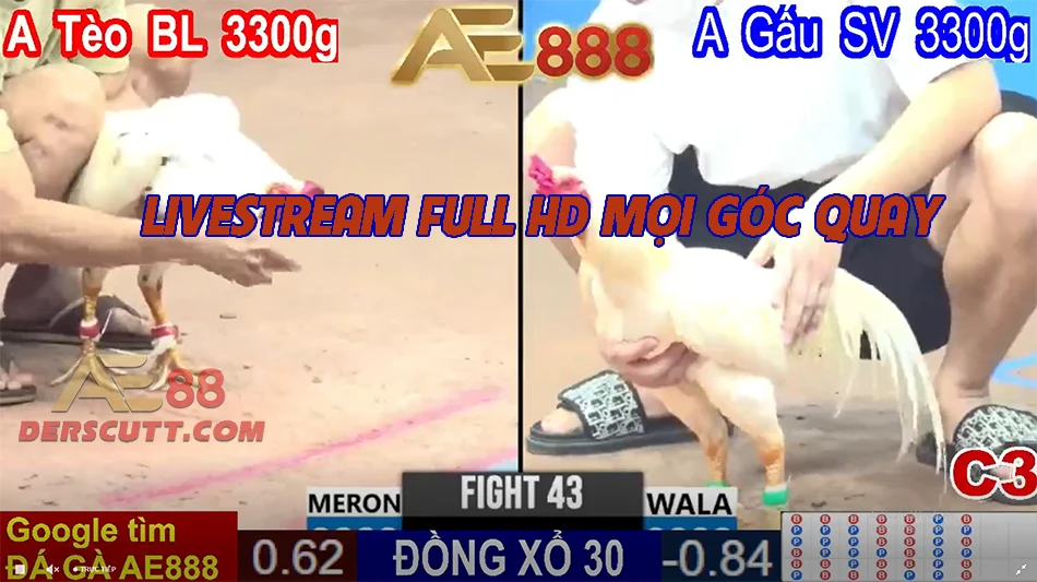 Livestream full HD mọi góc quay