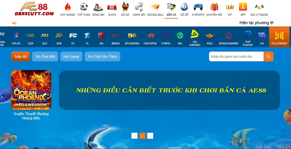 Những điều cần biết trước khi chơi bắn cá AE88