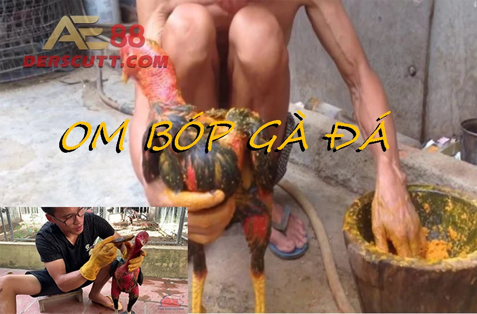 Thế nào là om bóp gà