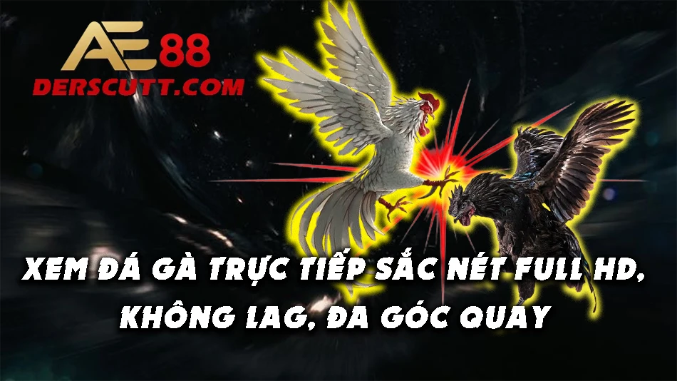 Xem đá gà trực tiếp độ trễ thấp, full HD