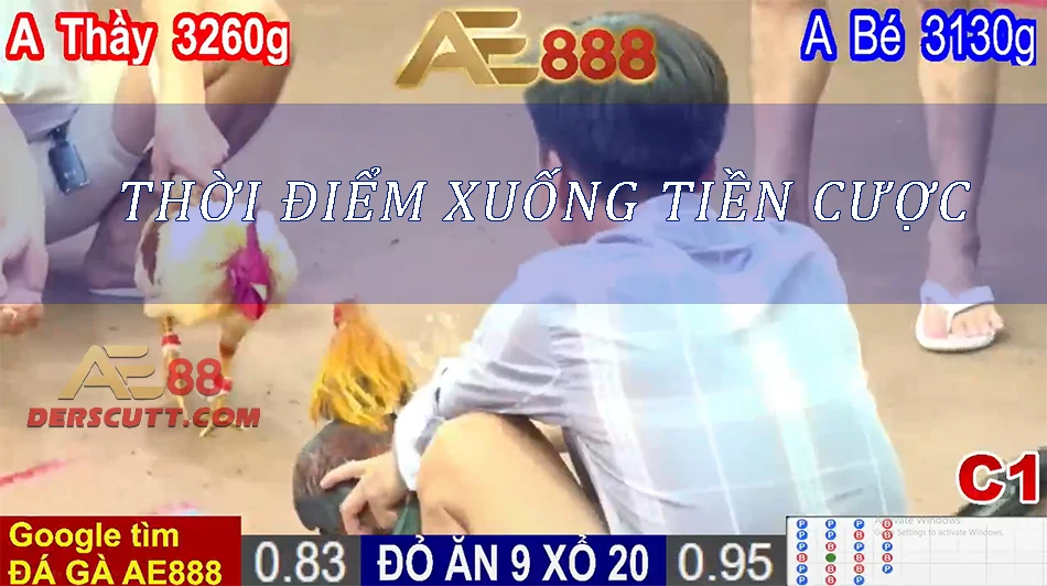Chọn thời điểm vàng xuống tiền cược
