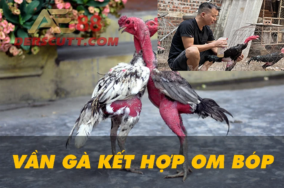 Công dụng của vần gà kết hợp om bóp