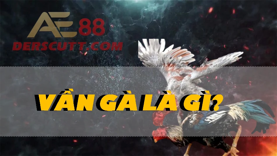 Tìm hiểu về vần gà
