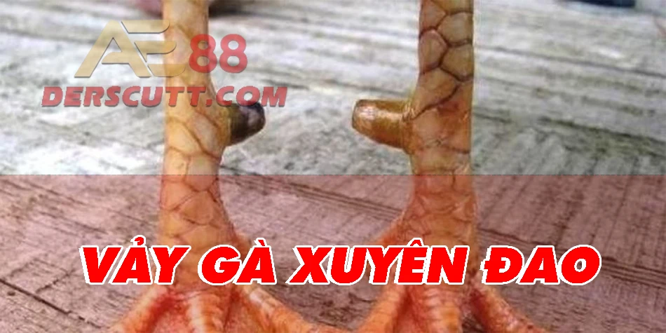 Vảy gà Xuyên Đao