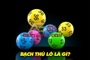 Hiểu về khái niệm Bạch Thủ Lô