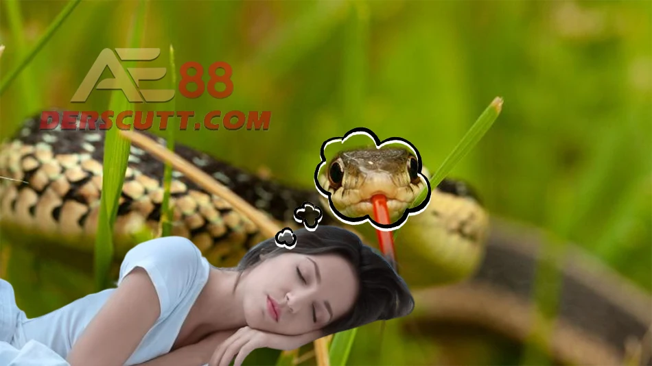 Điềm báo khi mơ thấy rắn